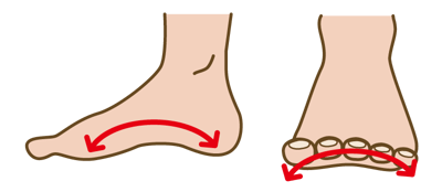 足は3つのアーチ構造がある。体重をかけていない時とかけている時、両方でアーチ構造を確認してみてください。